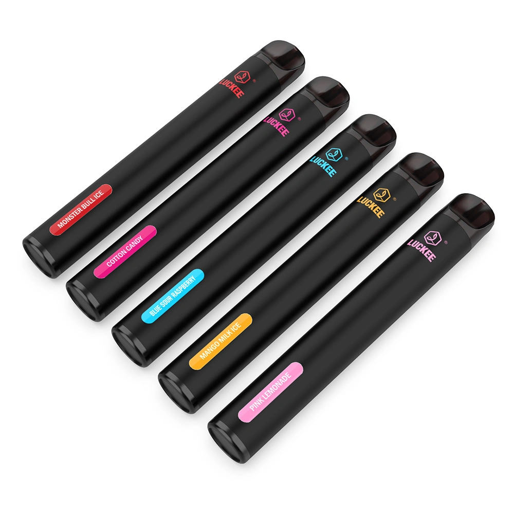 OEM ODM Custom 600 Puff 2 Ml 500 mAh Tpd Mesh Coil Disposable/Chargeable E Cigarette Vape Pen E Cig Vape Start Kits UK Price Mini Cigarette Puff Bar