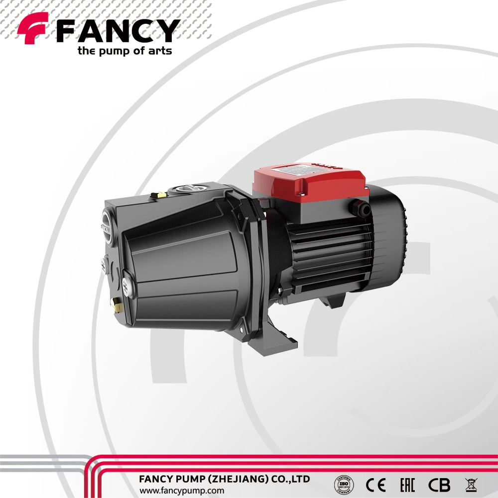 Fancy Fji Self-Priming Centrifugal Electric Water Pump