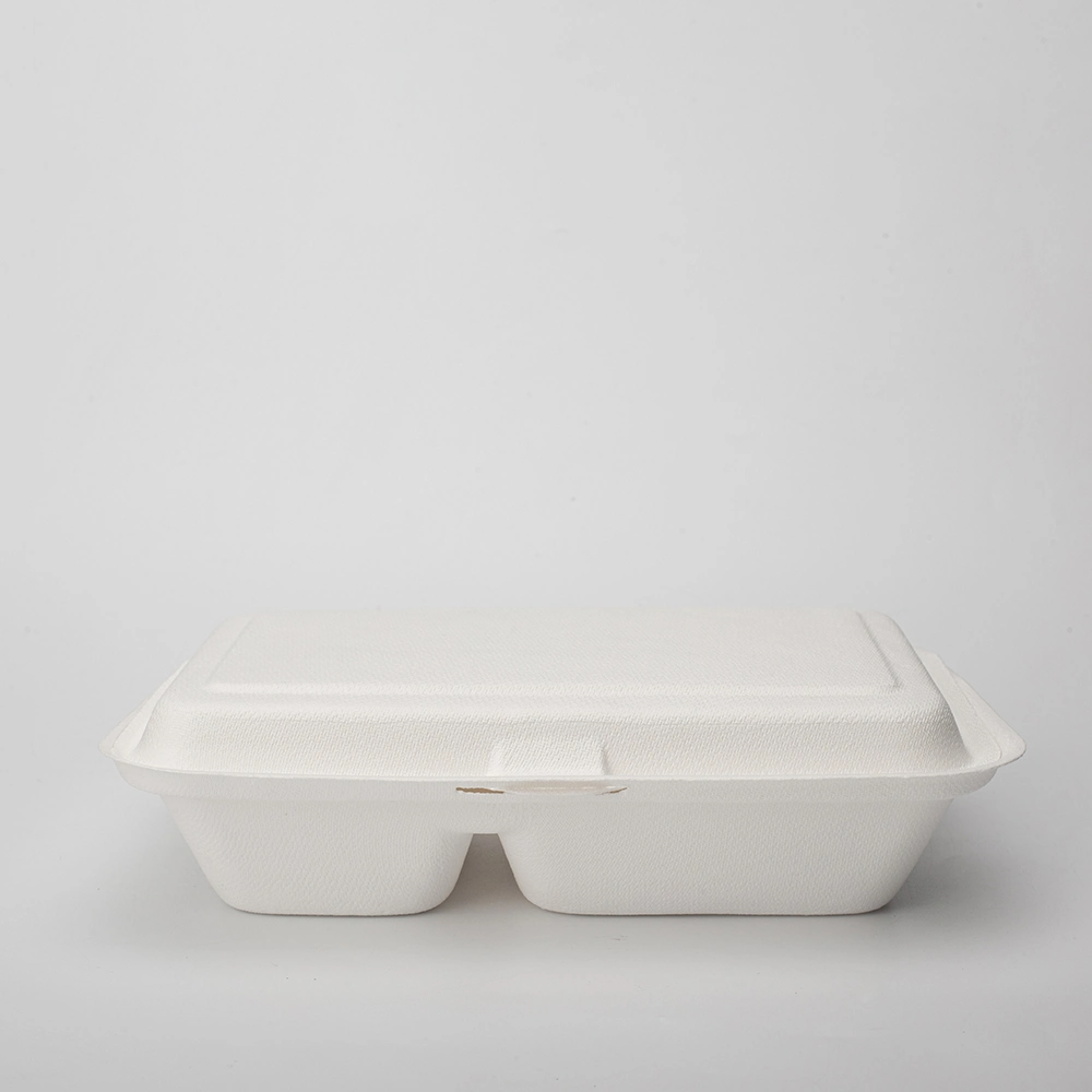 Biodegradable 9" X 6" 2-C Hinged Container for Takeout, Parties, Camping