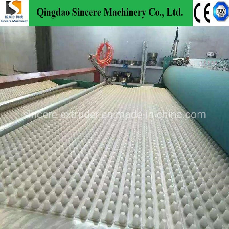 HDPE Drainage Board Extrusion Manufacturing Equipment Width 2m 4m