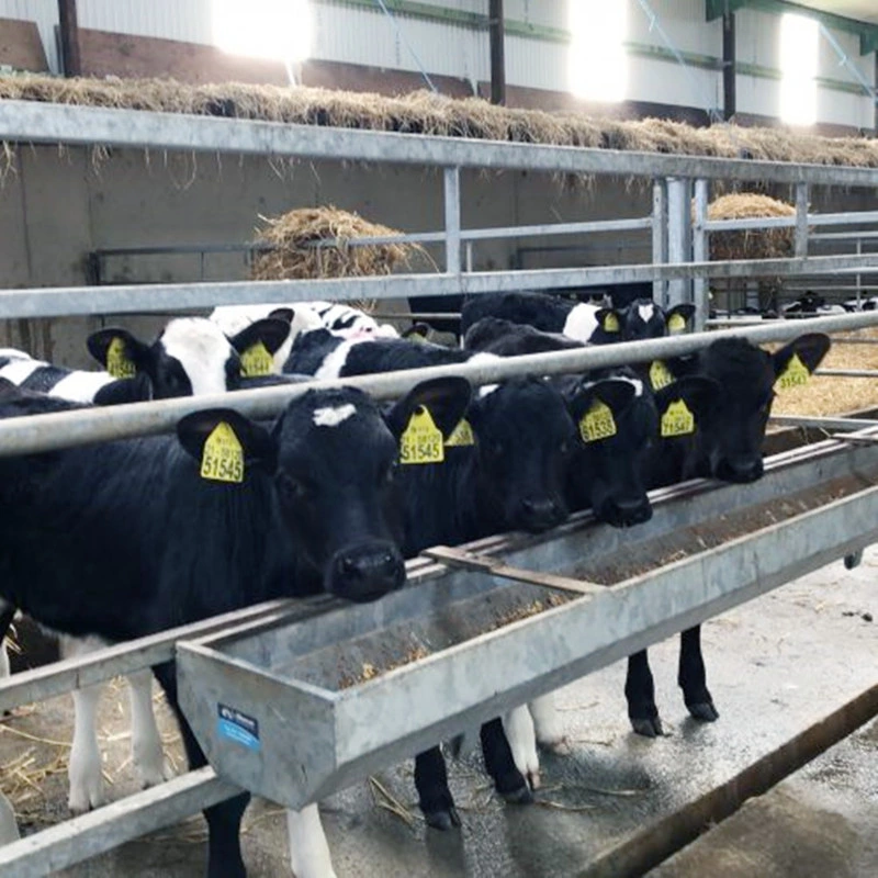 304 Edelstahl Rinder Trinker Kuh Wasserwanne für Vieh Bauernhof