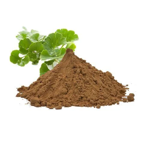 Bulk Supply Ginkgo Biloba Extract Powder 24% Total Flavonoids, 6% Terpene Lactones