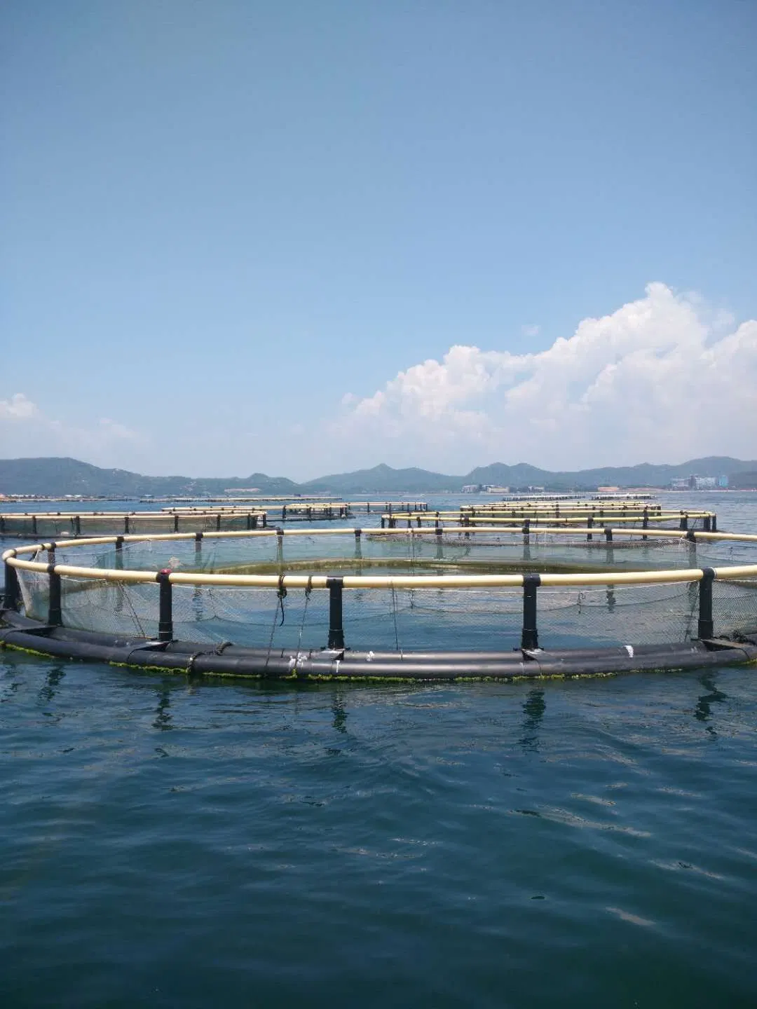 Heißer Verkauf PP Knot less Fish Net/PE Knot less Fish Farming Cage Aus China