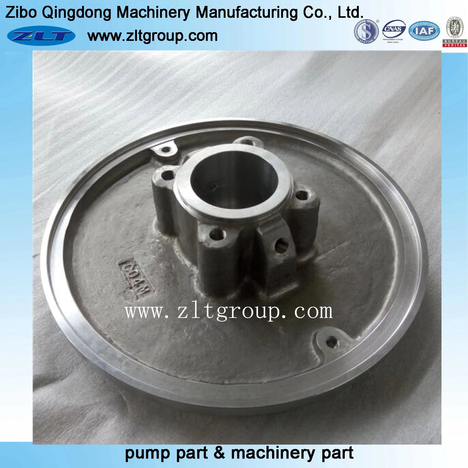 Titanium Replace Goulds 3196 Pump Cover in China by Lost Wax Casting