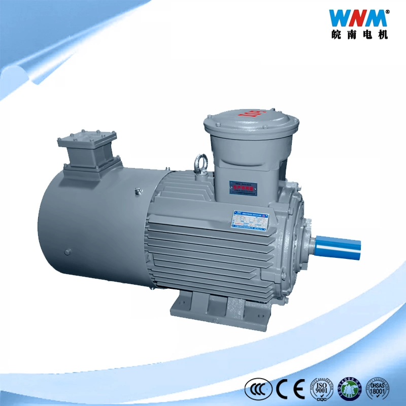 Yx3 IEC Ce CCC Three Phase AC Induction Ie2 Ie3 Electric Appliance Cooler Motor for Fan Pump Blower Yx3-315s-4 110kw 1485rpm