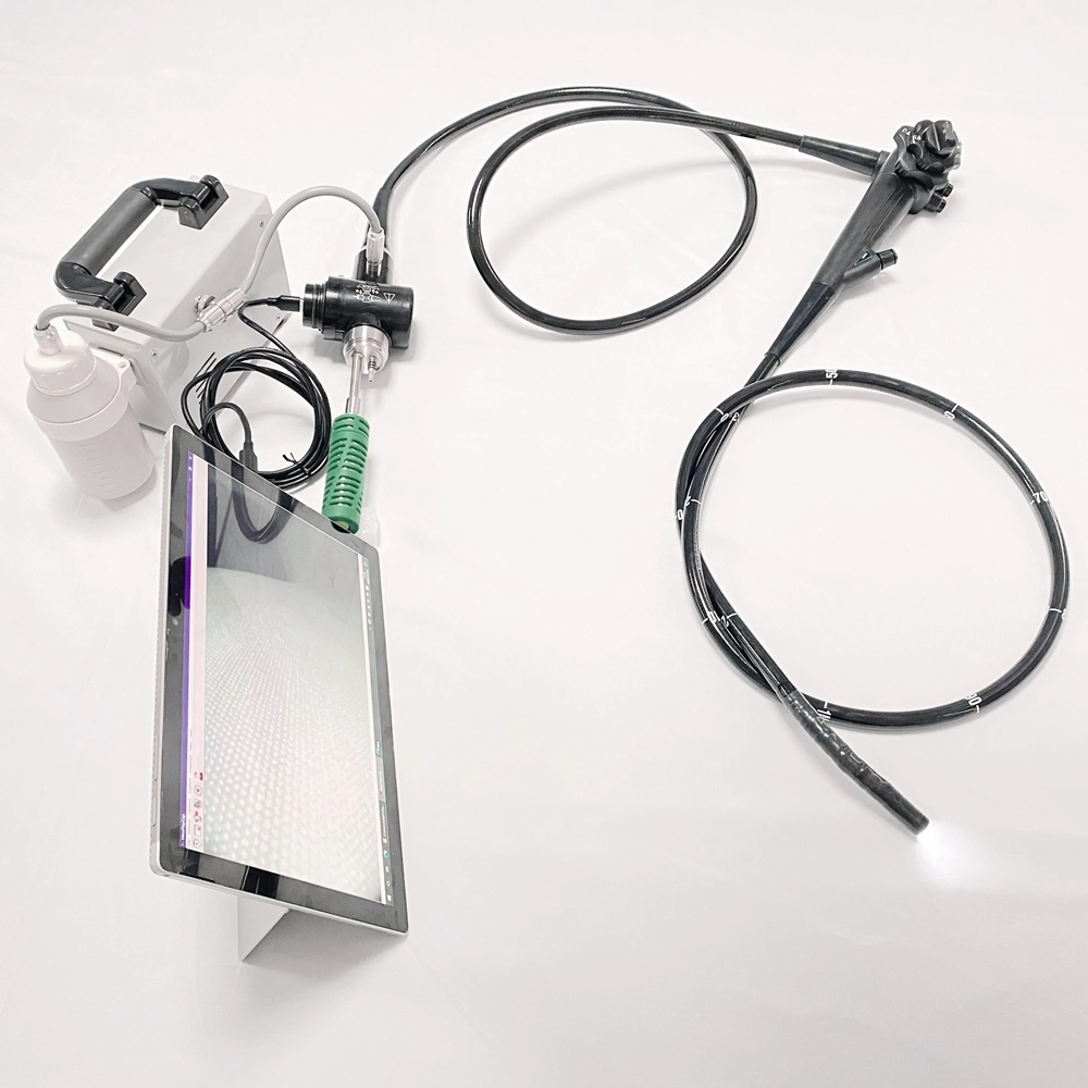 2023 New Portable Medical Video Gastroscope Flexible USB Endoscope Portable USB Video Colonoscope