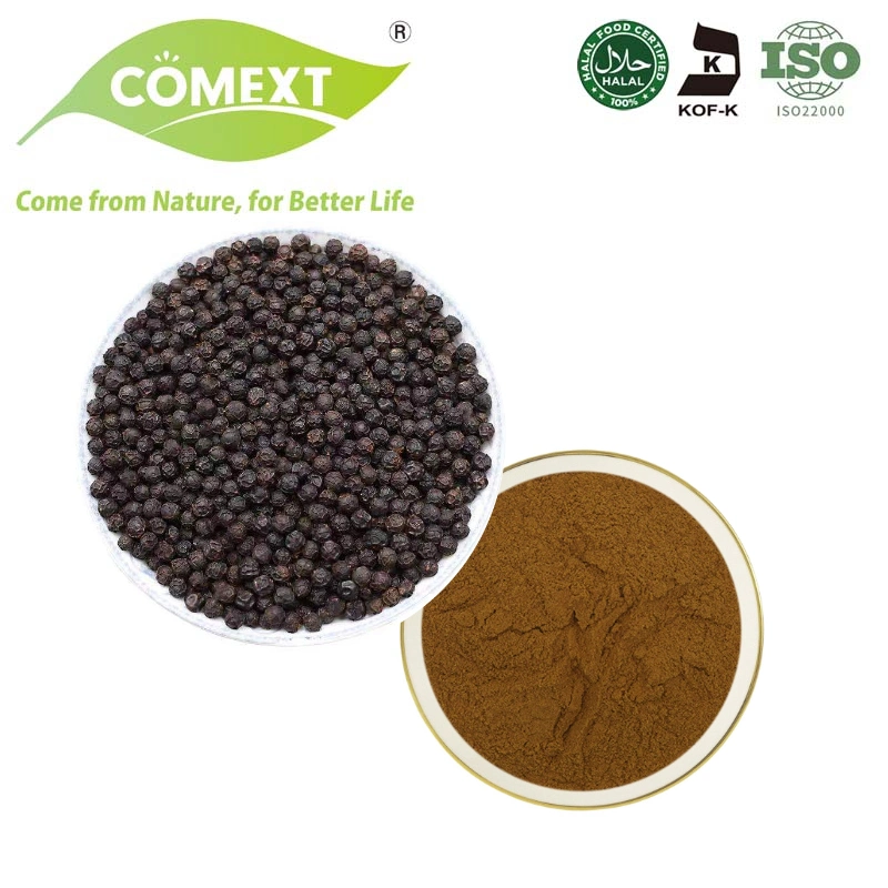 Comext Fábrica de alta calidad Piper Nigrum 95% de extracto de pimienta negra en polvo