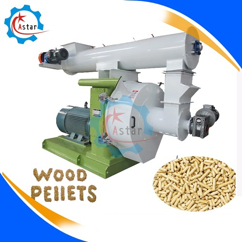 La Chine professionnel de la biomasse de bois presse à granulés de paille de riz de sciure de bois Husk Fabricants