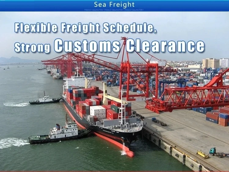 Despachante de carga de carga de carga de frete Agente Logística Transporte marítimo para EUA Europa Canadá