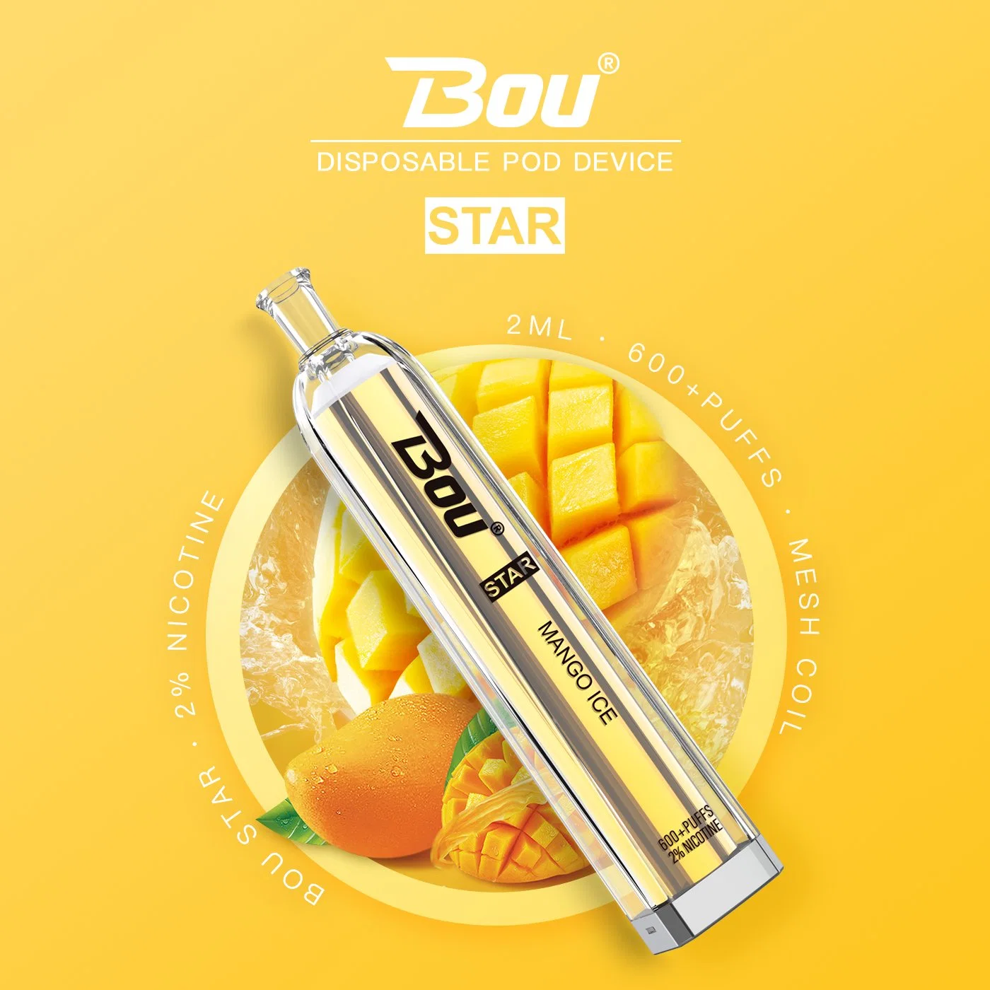 2023 New Style Disposable/Chargeable Vape Pod Mesh Coil Bang Disposable/Chargeable Vape 600 Puffs with 2ml Best Ejuice