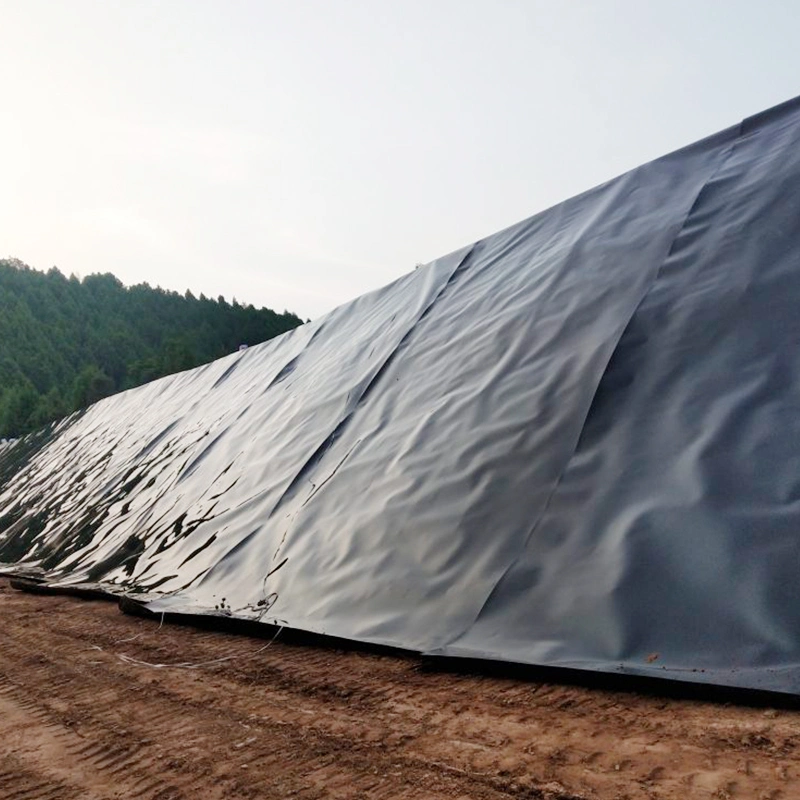 Smooth with Factory Cheap Price Waterproof Material for River Levee/Tarps/Tailing Reservoir/Lake Plastic Geomembrane Liner