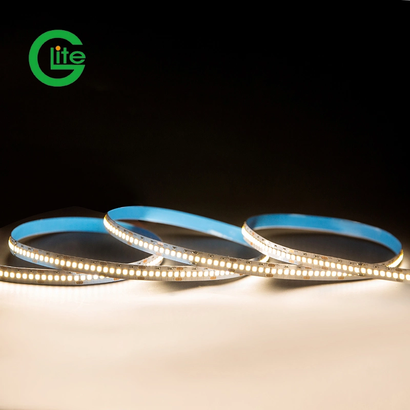 High quality/High cost performance  SMD2835 240LED Flexible LED Strip IP20 Single Color Strip for Decoration Lighting