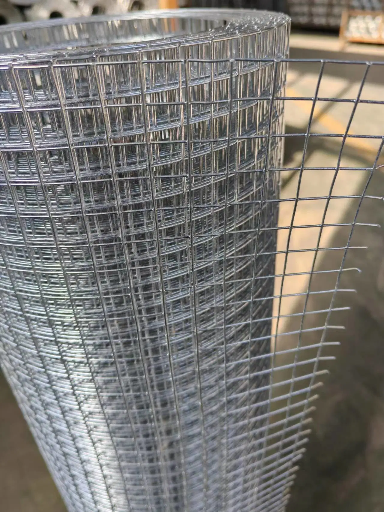 Hot Dipped Galvanized Steel Wire/Welded Wire Mesh