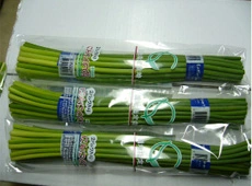 China Young Garlic Shoot, 250g One Bundle