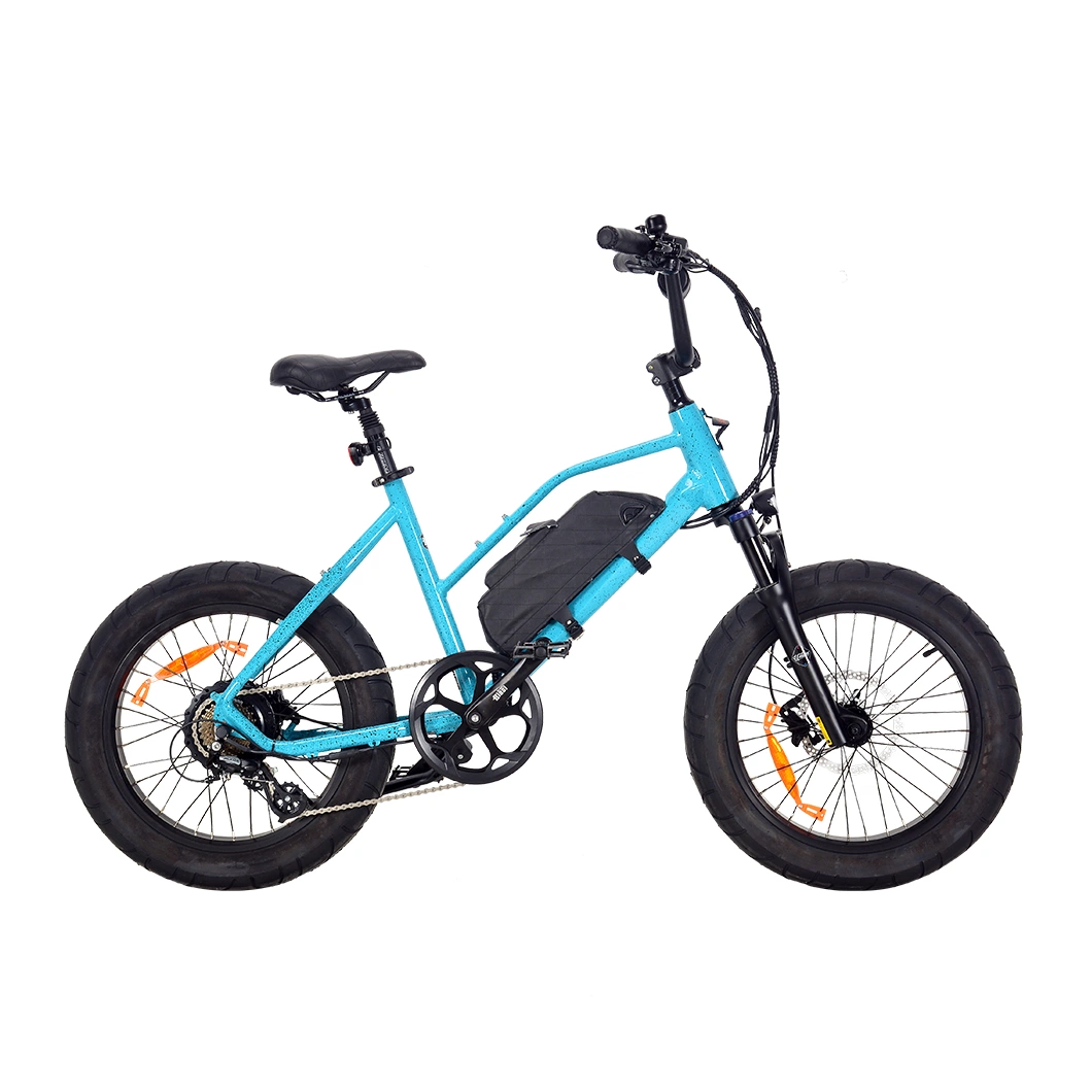 2023 Cute Ebik for Fun 48V Removable Lithium Battery Electric Bike