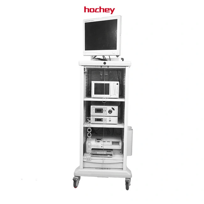 Hochey Medical Video Gastroscope and Colonoscope Endoscope Camera System