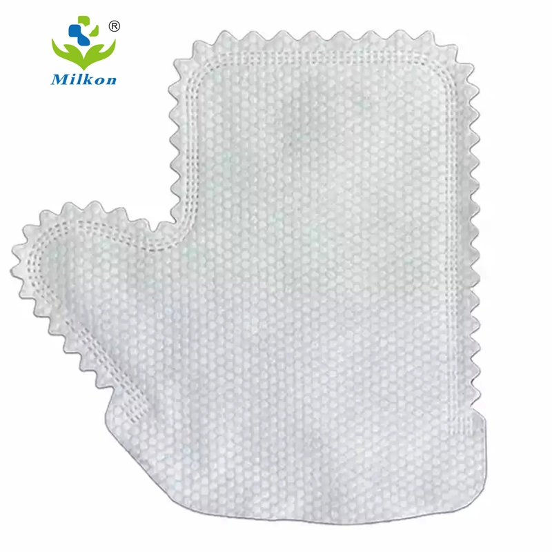 Source Factory Custom Disposable Non Woven Dry Pet Grooming Glove Wipes Cat Dog Skincare Cleaning Washing Wipes