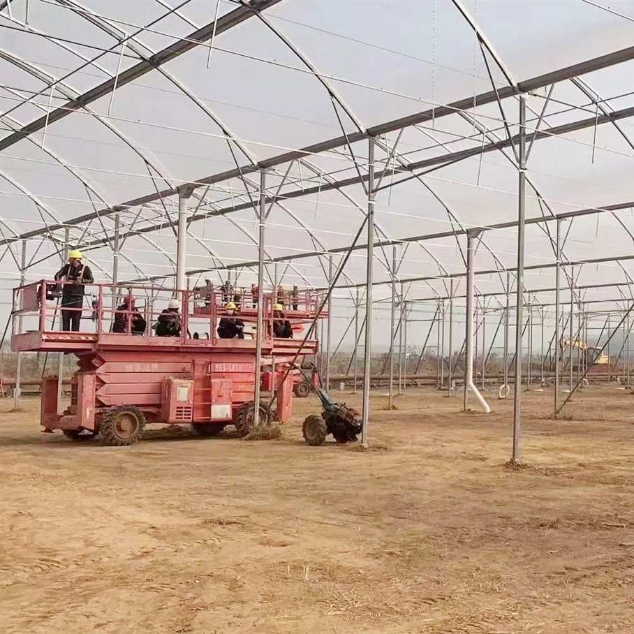 À grande échelle Polytunnel Isarel style maison de fleurs de serre de film pour la plantation de Rose coupées fraîches/fleurs/la culture hydroponique et de légumes