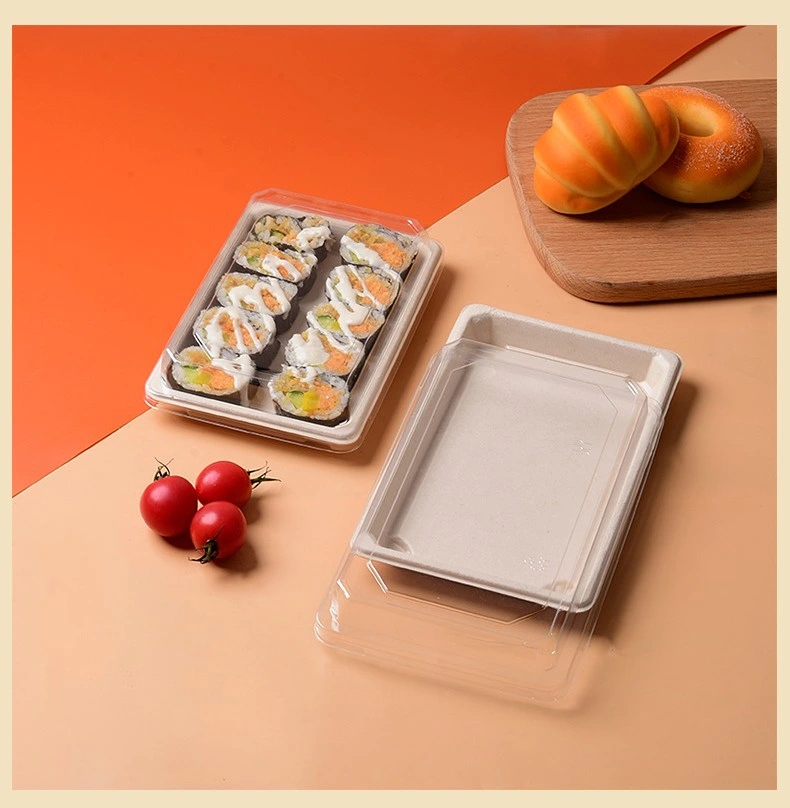 Good Quality Food Plastic Containers Low MOQ Sushi Plastic Tray