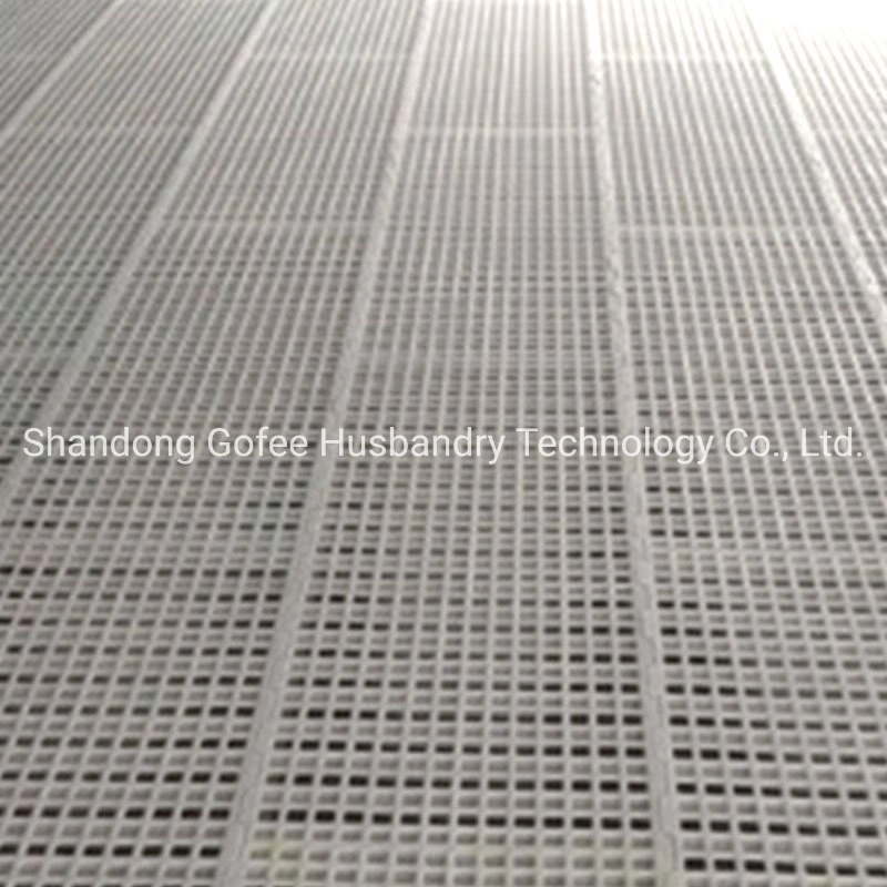 Non-Slip Plastic Leakage Flooring for Chicken Cage Equipment Livestock Farm Machinery