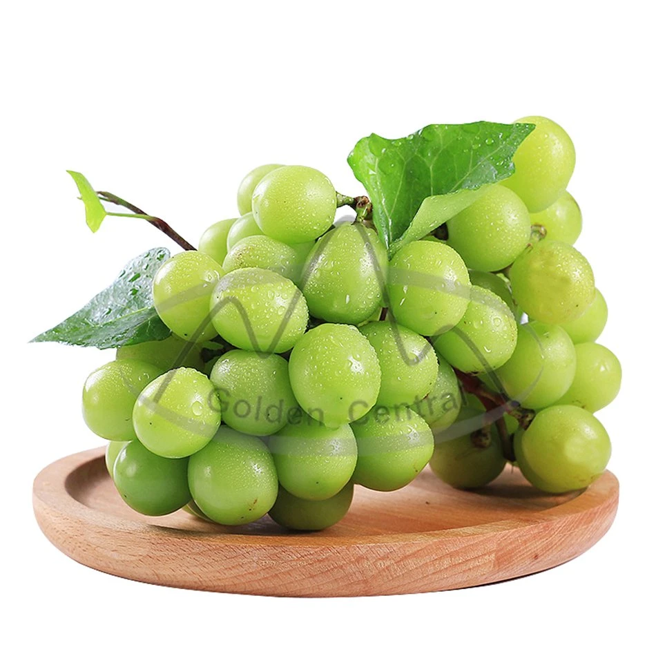 Wholesale/Supplier Fresh Sweet Shine Green Grape to World