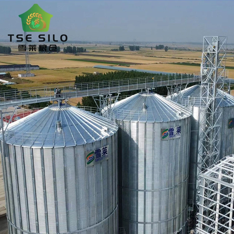 Novos produtos Pacote completo multifuncional Design profissional Silo de alimentação de fibra de vidro Silo de alimentação de 10 toneladas.