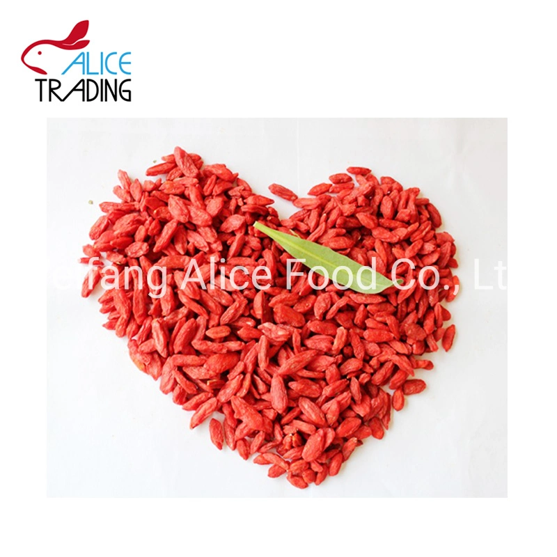 China Fruit Product Dried Goji Berry Manufacturer Dehydrated Goji Berries