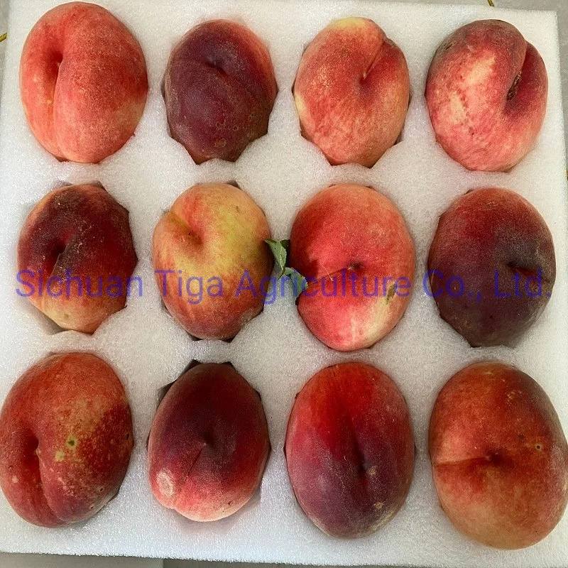 Whole Sale Large Shape Sweet Fresh Premium Quality No Heavy Metal Peach