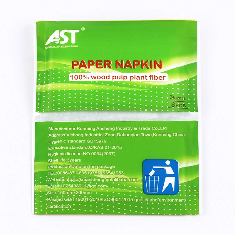 Ast Brand 10 PCS Disposable Flushable Toilet Tissue Paper Bathroom Paper