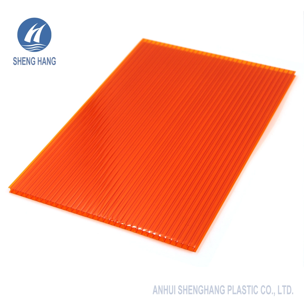 Decorative Plastic Polycarbonate Hollow Panel with SGS Certificate