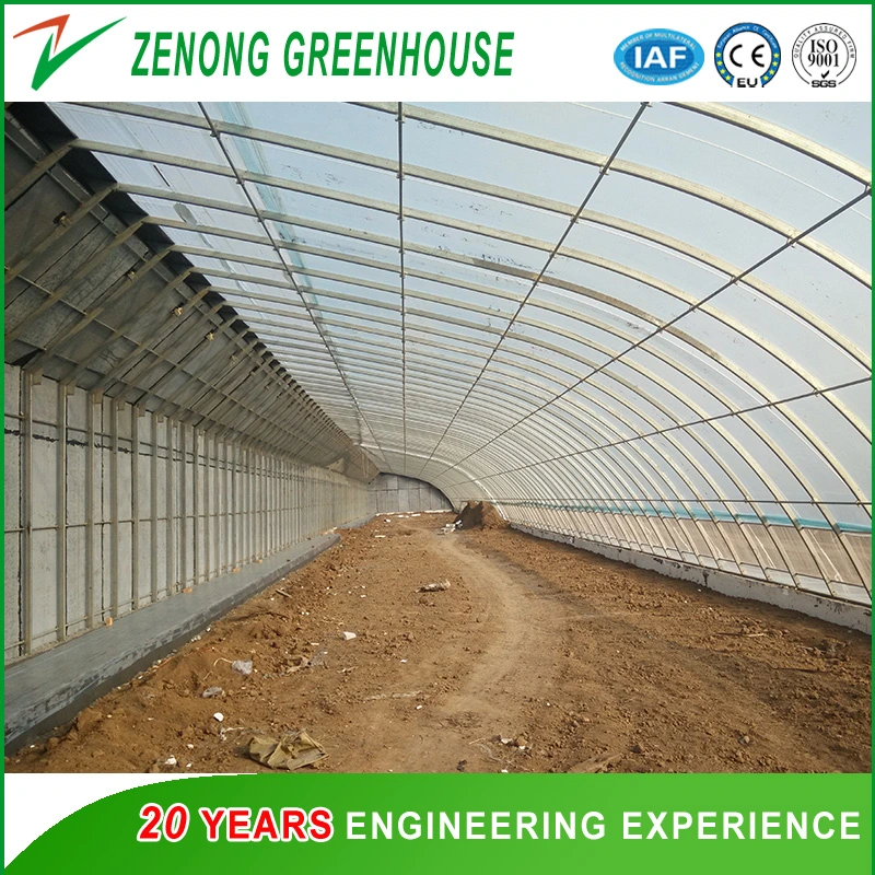 Hot Sale UV Coated Po Film Covered Solar Greenhouse with Favorable Price