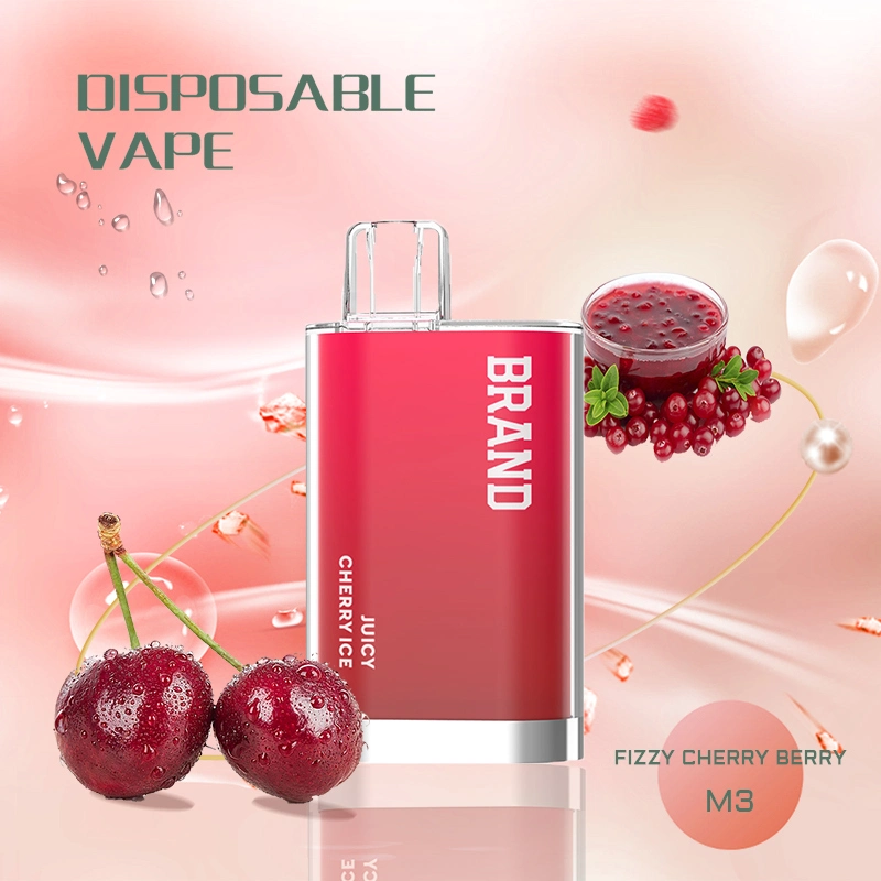 New Disposable/Chargeable E Cig Electronic Cigarette Smoking System 2ml 600 Puff Vaporizer Wholesale/Supplier Disposable/Chargeable Vape