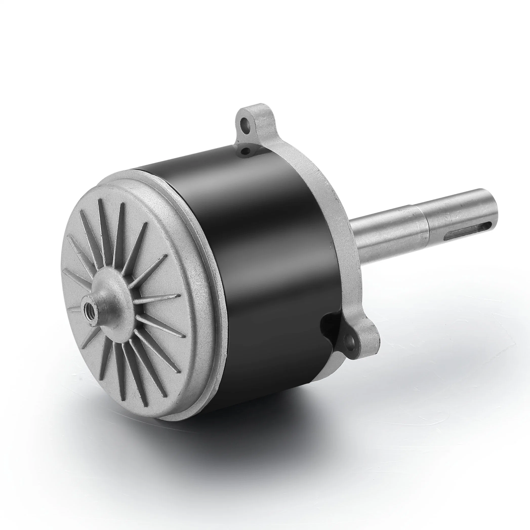 101mm Strong Power, High Torque, Large Equipment for a Brushed DC Motor