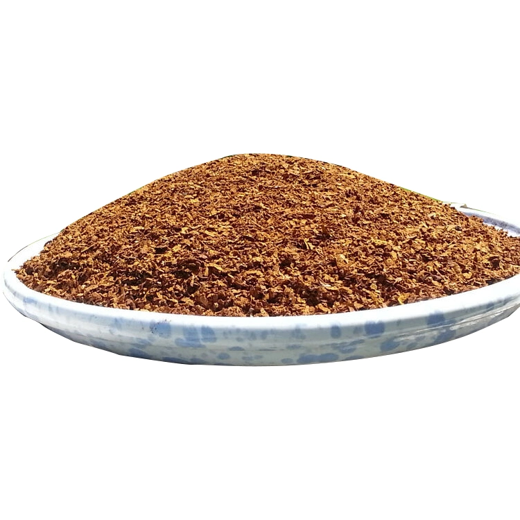 Hot Sell Organic Chaga Mushroom Extract Powder Maitake Mushroom Cordyceps Mushroom Lion's Mane Mushroom Reishi Mushroom Blends