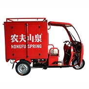 3 Wheeler Electric Express Cargo Delivery Tricycle Tuk Tuk Rickshaw Motorbike