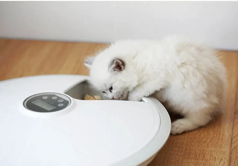 Pet Intelligent Automatic Feeder Cat Timing Quantitative Intelligent Feeder Dog Automatic Feeder