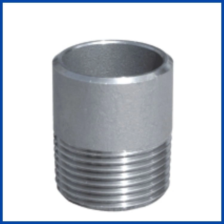 Pipe Fitting Stainless Steel SS304/316 Forging Hose Nipple