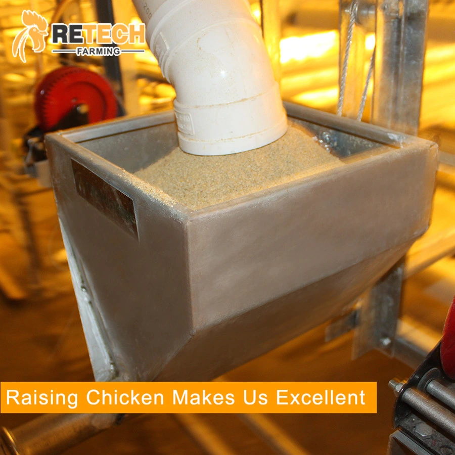 Automatic Poultry Farming Desig Chicken Feed Silo System