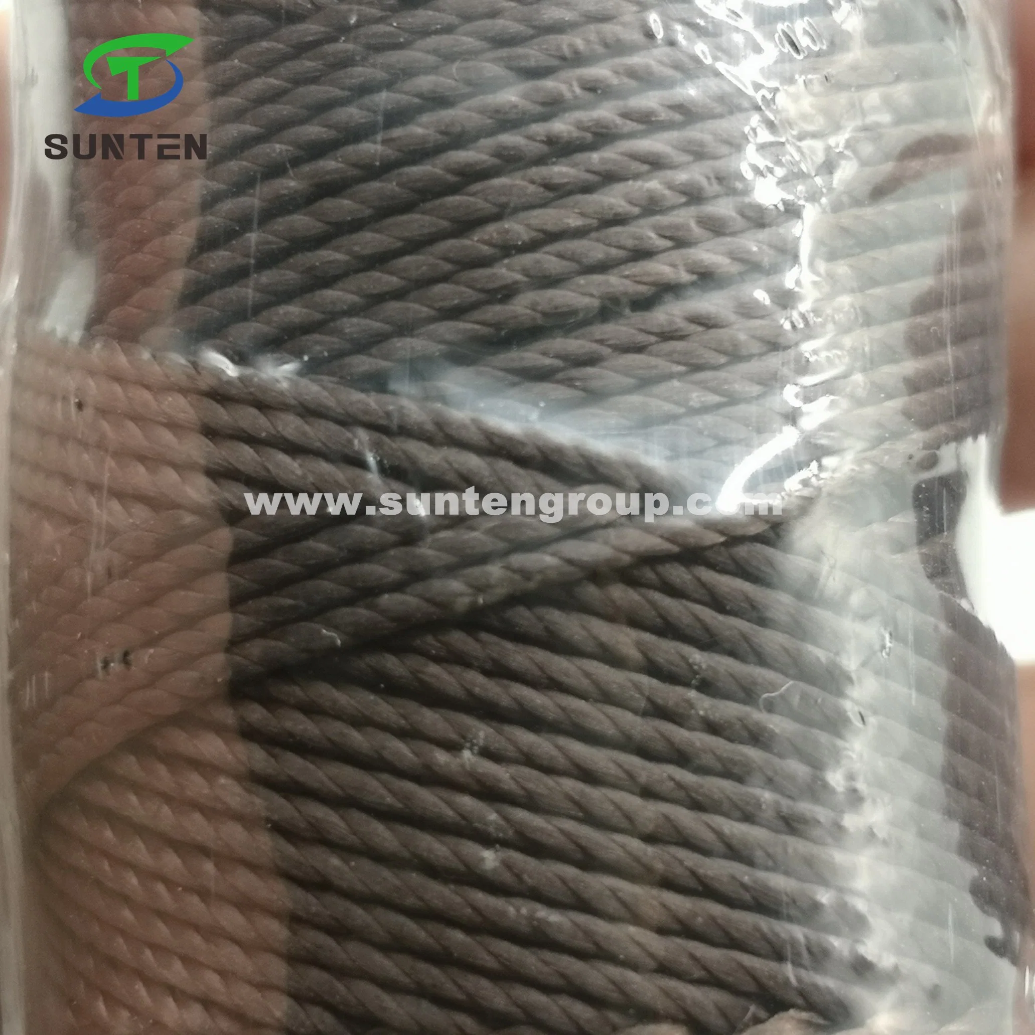 Factory Price High Tenacity PE/PP/Polyester/Nylon/Polypropylene Plastic Twisted/Braided/Baler/Thread/Packing Line/Fishing Net Twine (210D/380D)