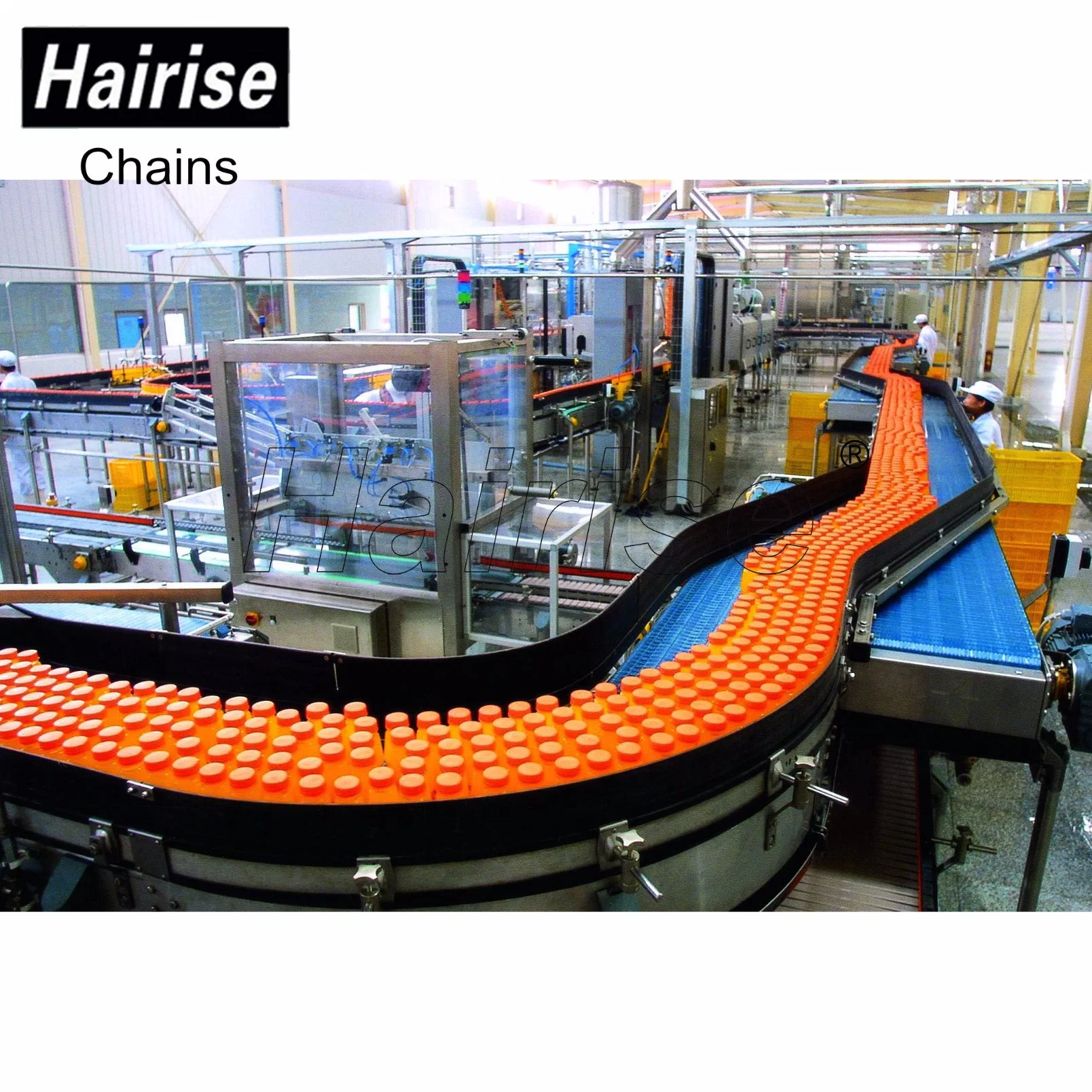 Hairise Scale Chute Motorized Material Handling Skid Conveyors