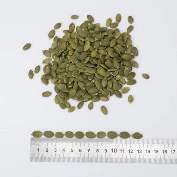 Wholesale/Supplier New Crop Factory Price Green Pumpkin Seeds Kernel AA