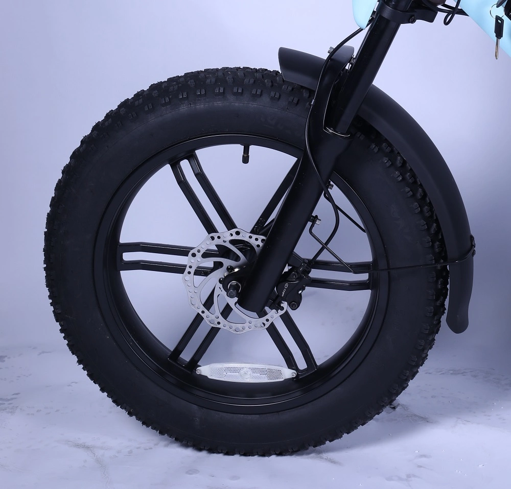 750W48V Cargo Electric Bike with Large Battery 5% Discount