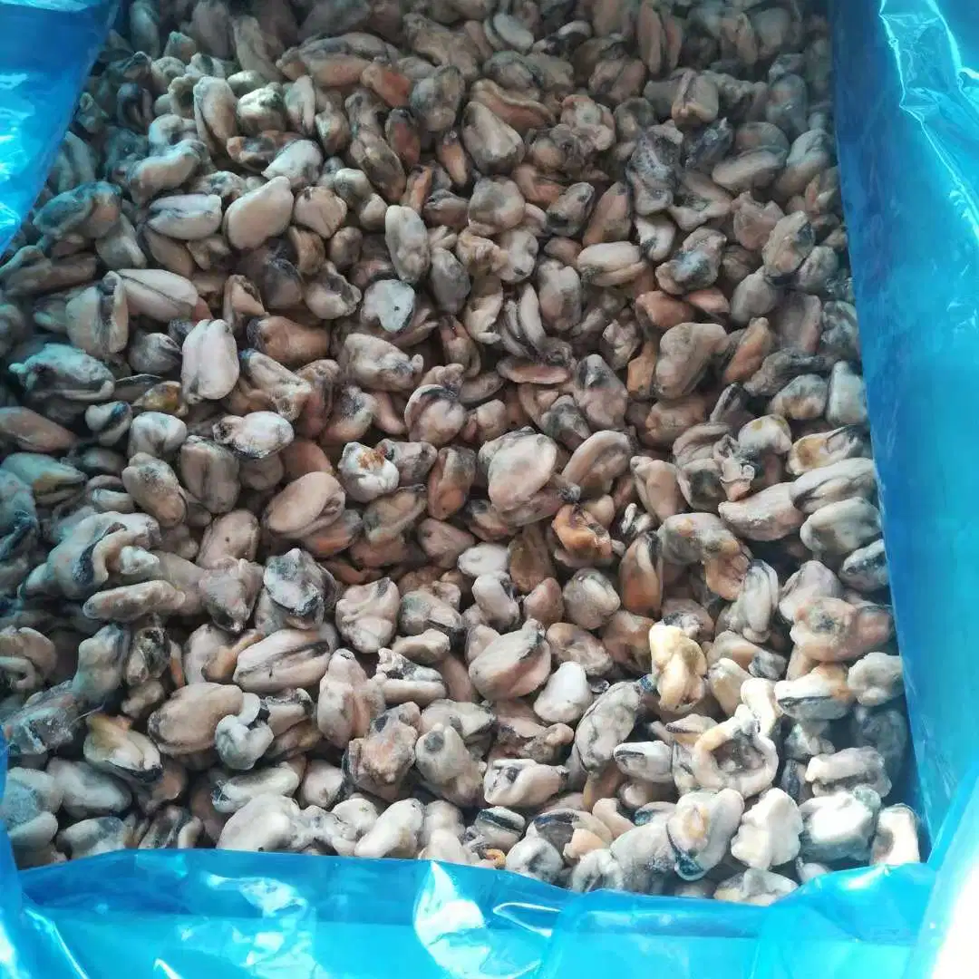 Frozen Cooked Mussel Meat 100-200