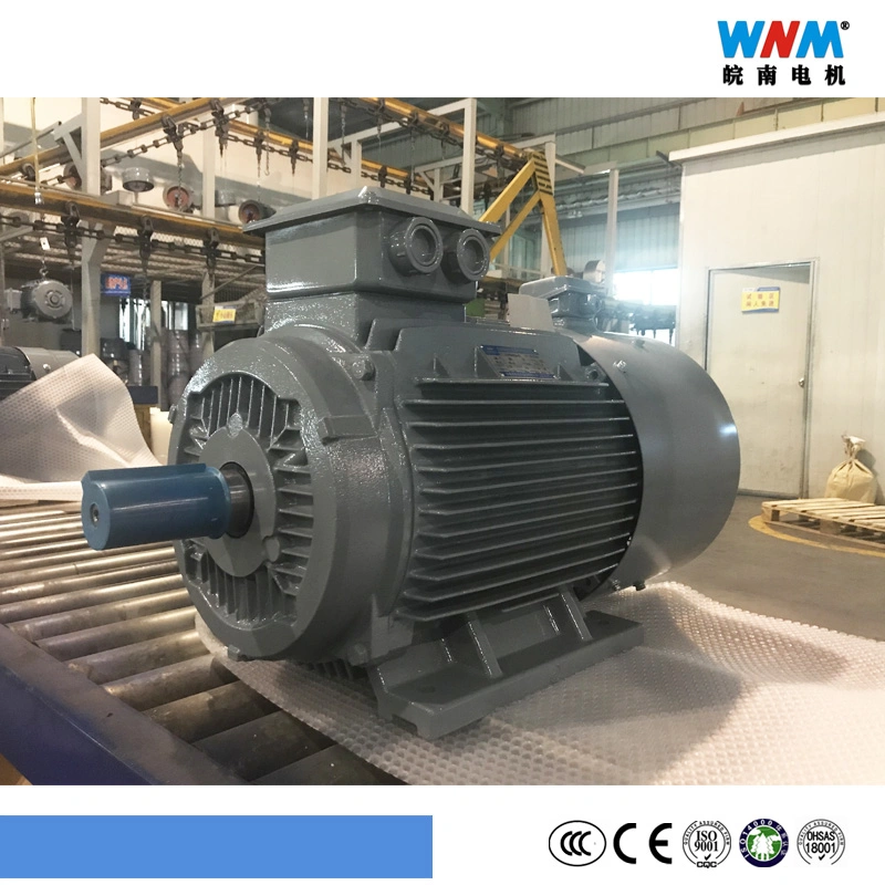 Variable Frequency VFD Control Three Phase AC Eletcric Motor Yxvf180 11kw 15kw 18.5kw 22kw Wnm Motor