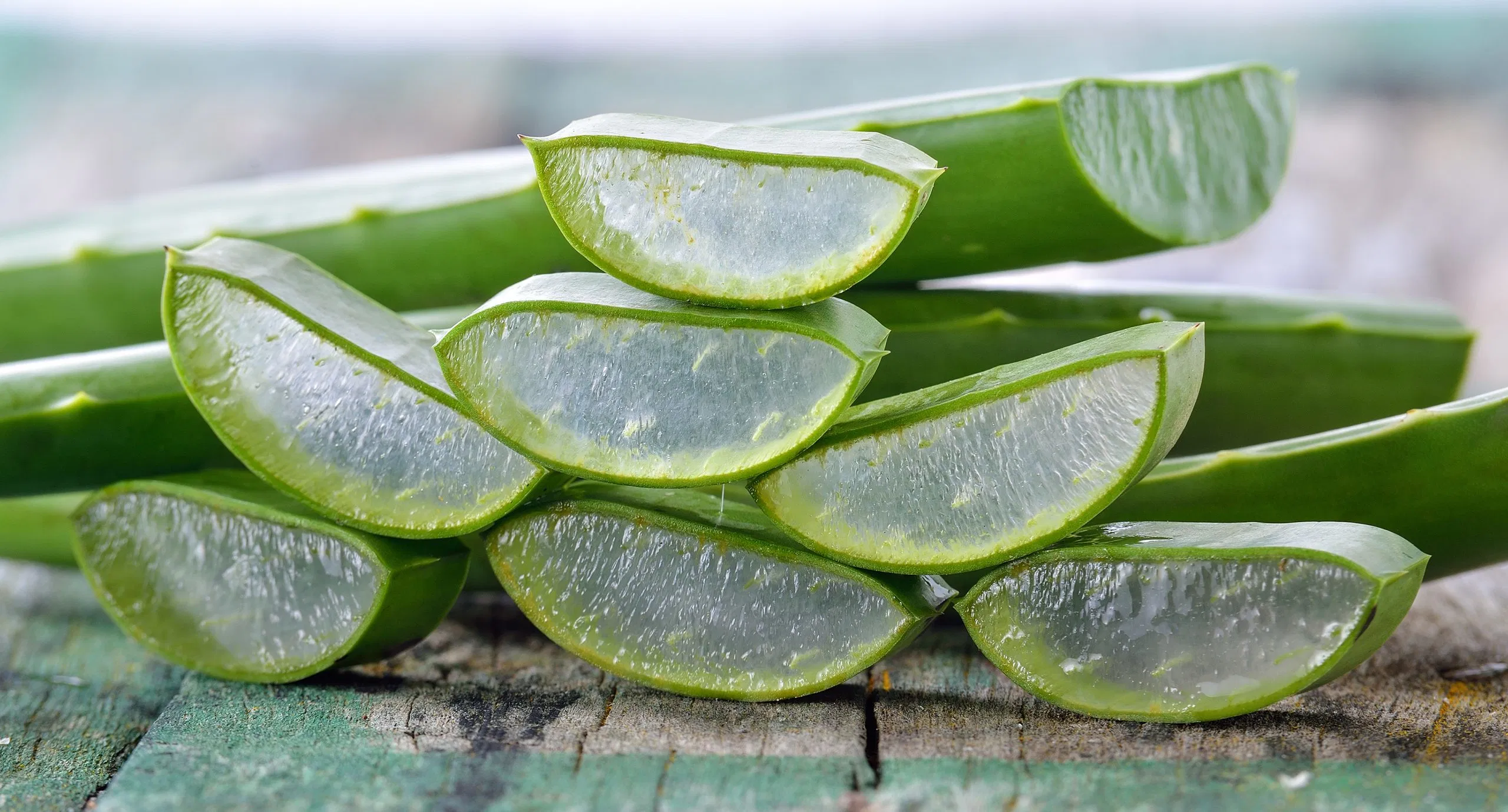 Herbway Kräuterextrakt Aloe Vera Extraktpulver Aloe Vera L. Var. Chinensis (Haw) Berger 10%-98% Barbaloin