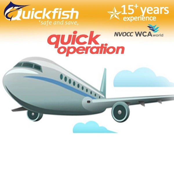 Quick Operation China Air Freight Shipping Services to USA UK