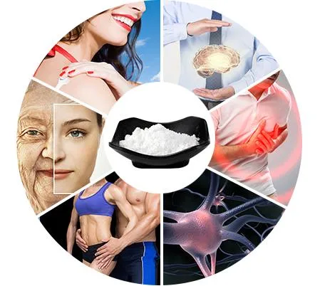 Anti Aging Nicotinamide Mononucleotide Nmn Powder Bulk Powder Nmn