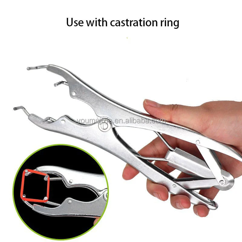 Stainless Steel Pigs Sheep Tail Docking Castration Forceps Bloodless Castration Pliers