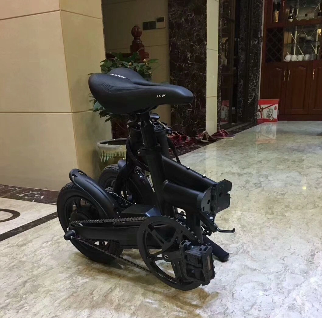 Factory Directly Supplier Goods Scooter with Electric Bike