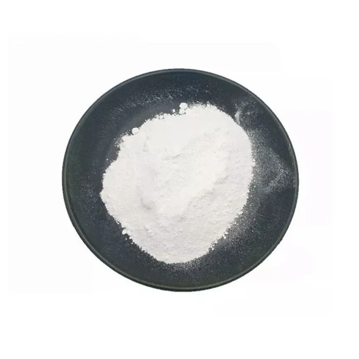 Dióxido de titanio de alta calidad Casa 13463-67-7 TiO2 polvo chino Bueno Precio